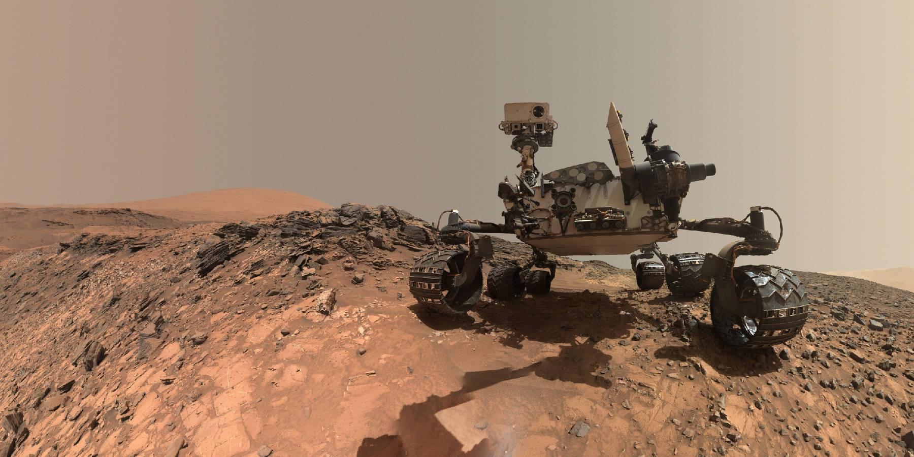 Mars Rover self portrait